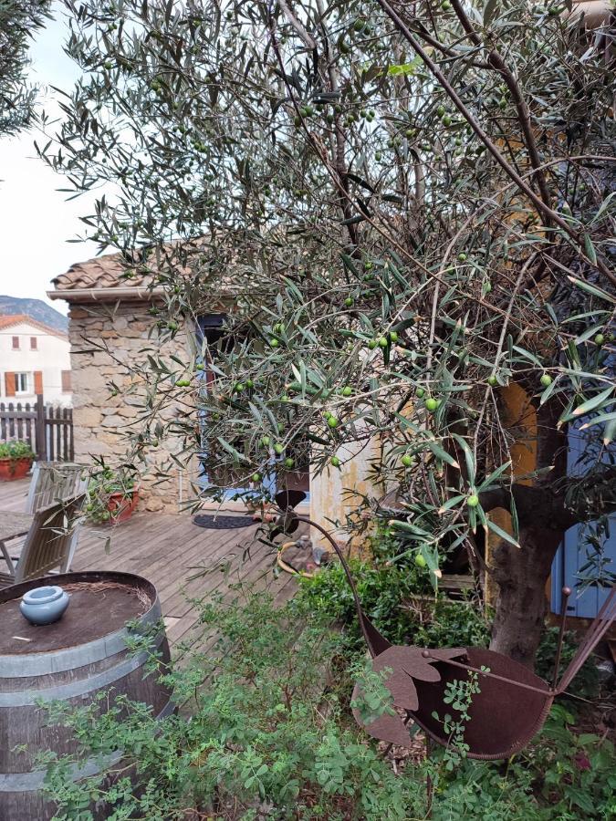 Bed and Breakfast Domaine Les Cascades Ribaute Exterior foto