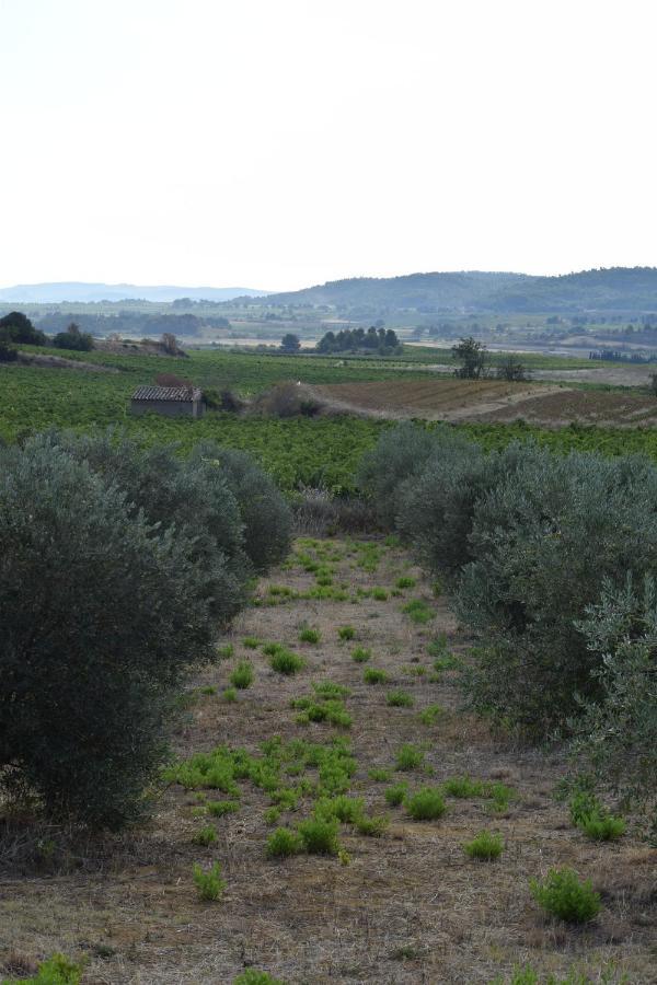 Bed and Breakfast Domaine Les Cascades Ribaute Exterior foto